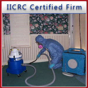 Mold Remediation - St. George, UT - Rose Restoration, Inc. - Disaster Management Solutions - Mold removal - IICRC Certified Firm